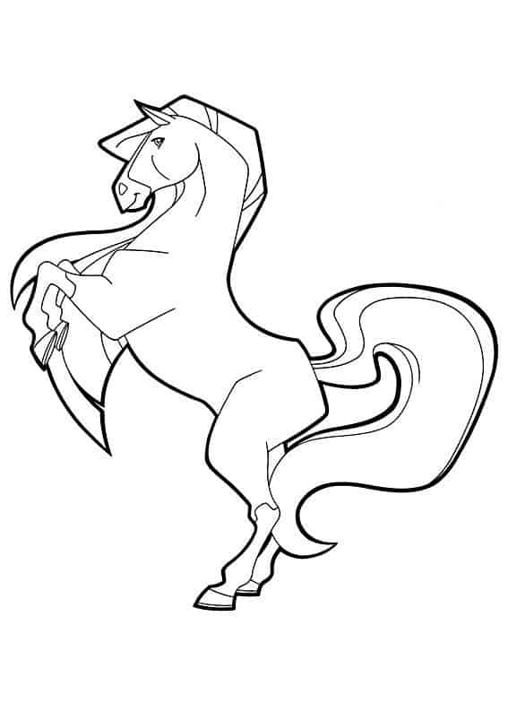 pferde ausmalbilder horseland