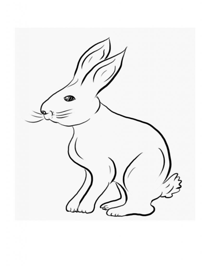 Ausmalbilder Kaninchen Zum Ausdrucken