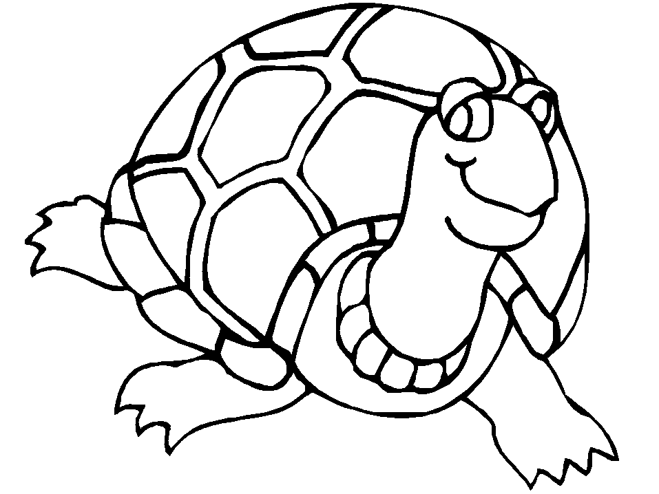 Turtle Vorlagen Pdf für Kinder 5 Ausmalbilder Kostenlos Schildkröte