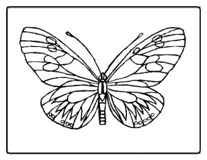 Ausmalbilder Schmetterling Kostenlos