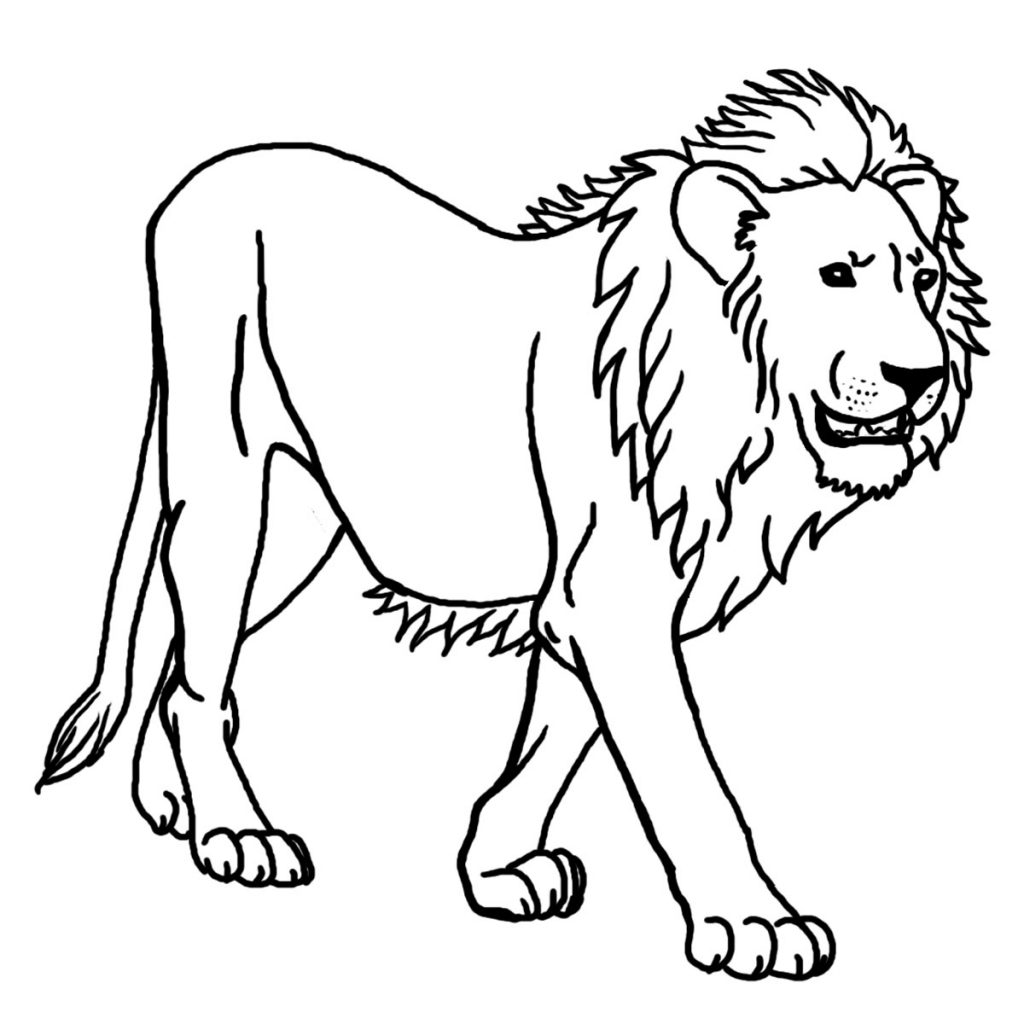 Mandala Löwe Ausmalbilder