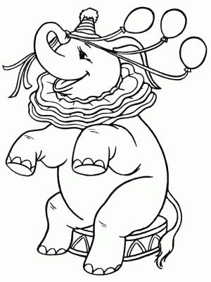 Zirkus Ausmalbilder Pferde