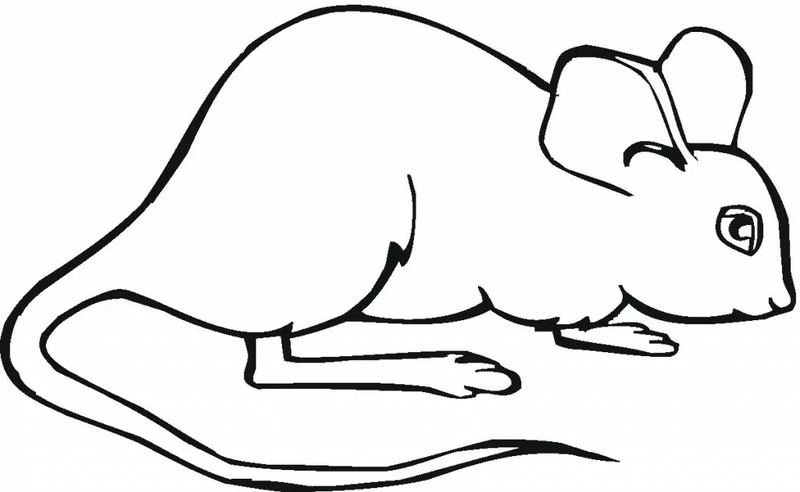 die maus malvorlagen