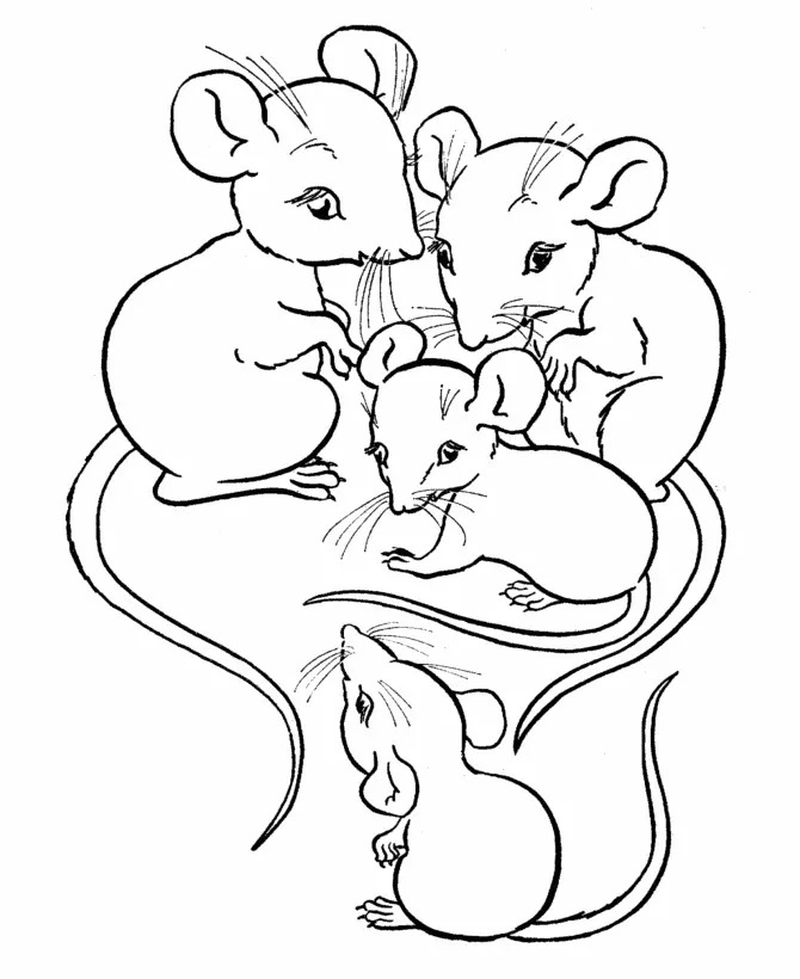 kleine maus ausmalbild
