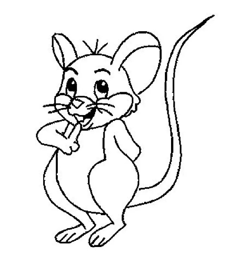 maus ausmalbilder kostenlos zum ausdrucken