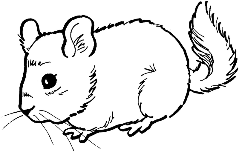 maus ausmalbilder zum drucken
