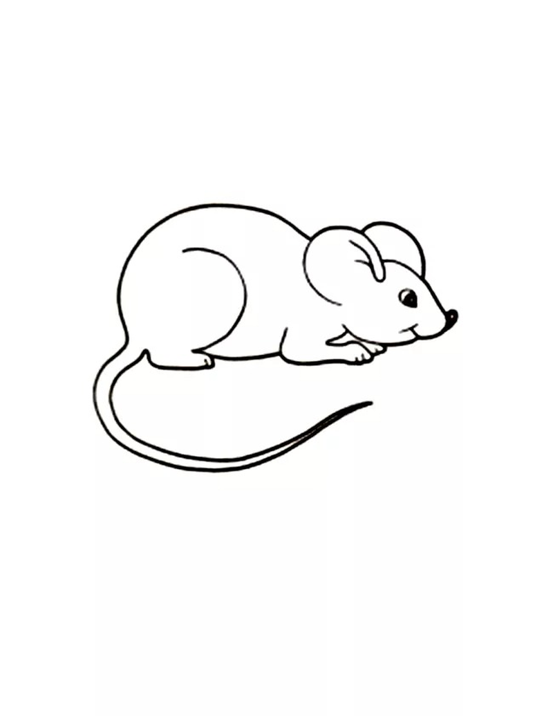 maus malvorlagen pdf